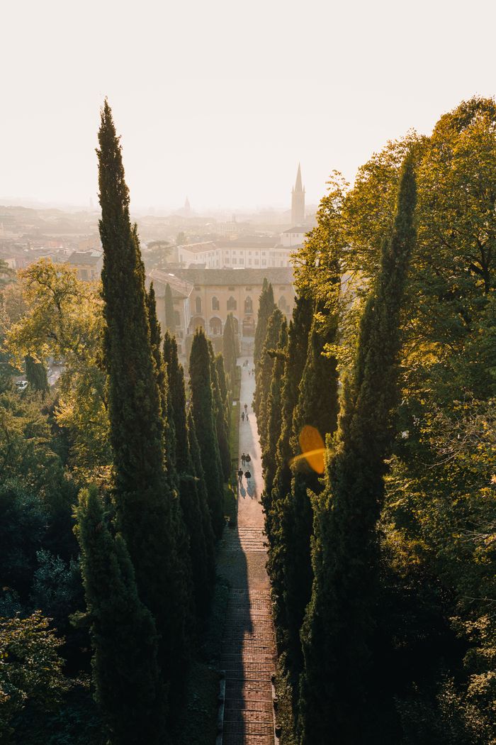A beautiful autumn view of Verona, Italy, framed by tall cypress trees.